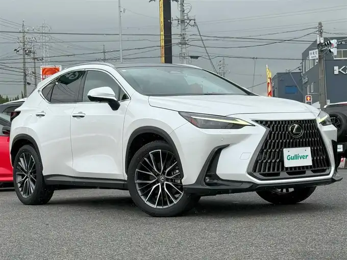 新着情報“ＮＸNX250 バージョンL”2023年式ソニッククォーツ入荷しました！