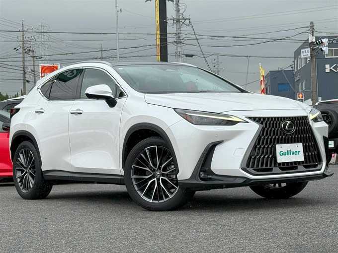 新着情報“ＮＸNX250 バージョンL”2023年式ソニッククォーツ入荷しました！