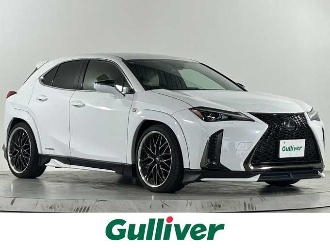 新着情報“ＵＸUX250h Fスポーツ”2019年式ホワイトノーヴァガラスフレーク入荷しました！