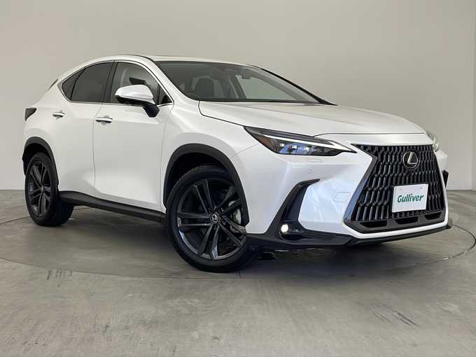 新着情報“ＮＸNX250 バージョンL”2022年式ソニッククォーツ入荷しました！