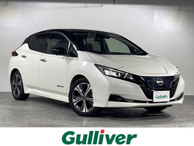 新着情報“リーフX Vセレクション”2021年式ブリリアントホワイトパール/スーパーブラック 2トーン入荷しました！