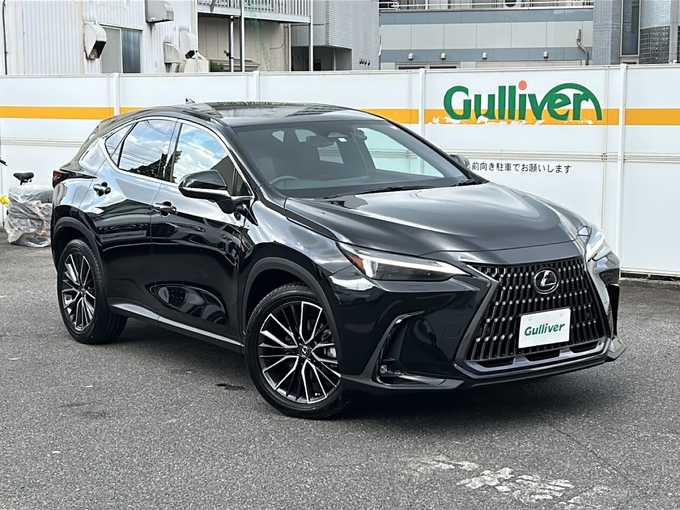 新着情報“ＮＸNX250 バージョンL”2023年式グラファイトブラックガラスフレーク入荷しました！