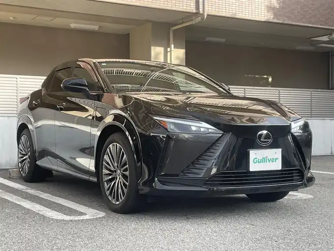 新着情報“ＲＺRZ300e バージョンL”2024年式グラファイトブラックガラスフレーク入荷しました！