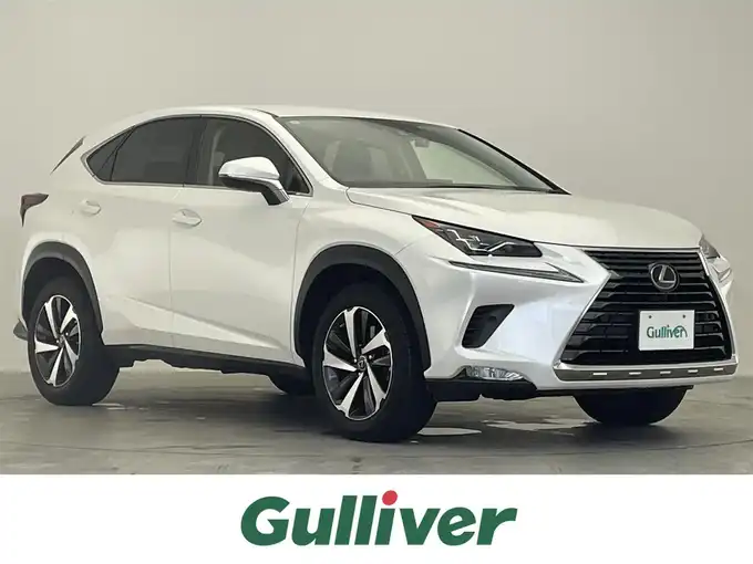 新着情報“ＮＸ300 Iパッケージ”2019年式ソニッククォーツ入荷しました！