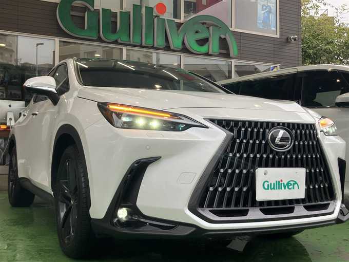 新着情報“ＮＸNX250 バージョンL”2023年式ソニッククォーツ入荷しました！