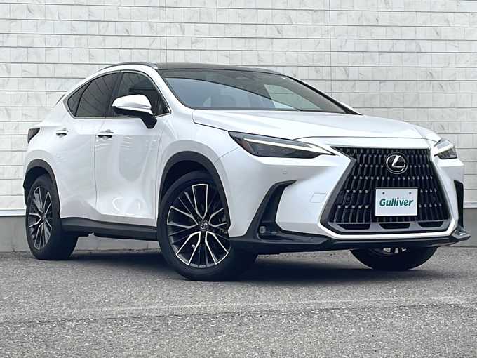 新着情報“ＮＸNX250 バージョンL”2023年式ソニッククォーツ入荷しました！
