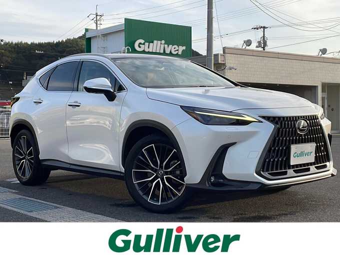 新着情報“ＮＸNX250 バージョンL”2023年式ソニッククォーツ入荷しました！