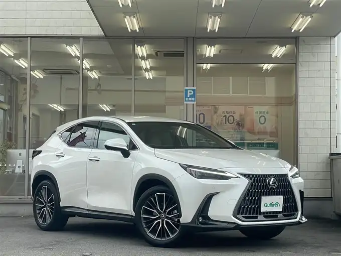 新着情報“ＮＸNX250 バージョンL”2023年式ソニッククォーツ入荷しました！