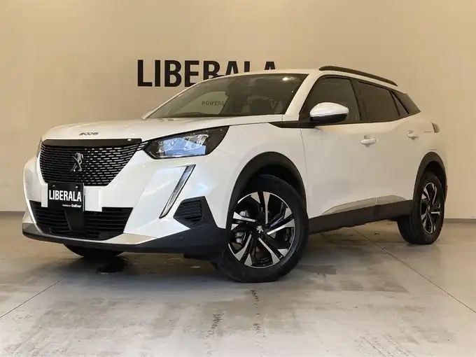 新着情報“２００８GTライン”2020年式パール入荷しました！