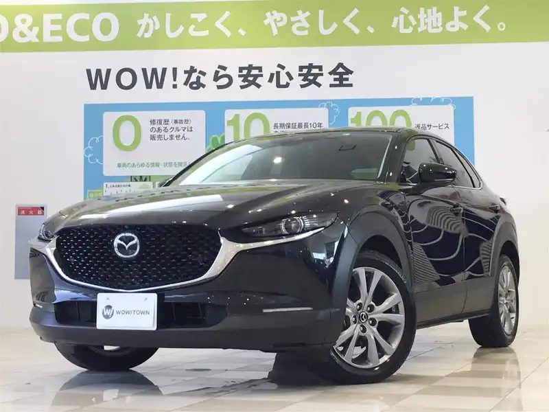 10137953 | カタログ画像：ＣＸ－３０（CX-30） ＸＤ Ｌパッケージ 2021年4月 3DA-DM8P 1800cc ジェットブラックマイカ メイン（その他）