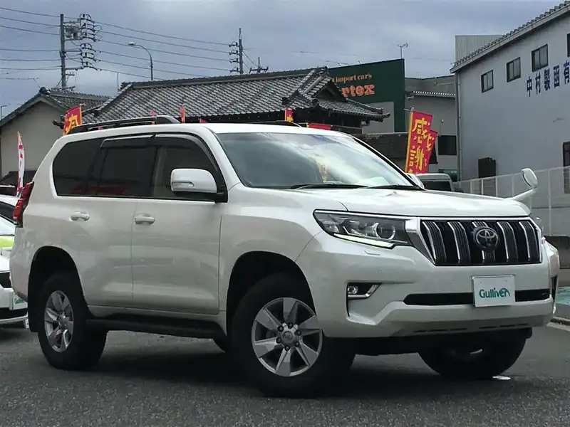 10124167 | カタログ画像：ランドクルーザープラド（LAND CRUISER PRADO） ＴＸ Ｌパッケージ 2019年10月 LDA-GDJ150W 2800cc シルバーメタリック メイン（その他）