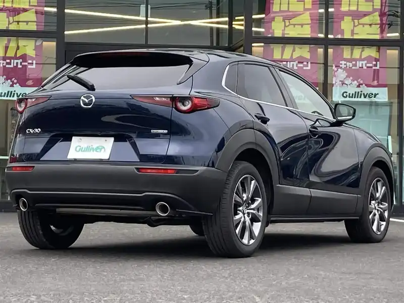 カタログ画像：ＣＸ－３０（CX-30） Ｘ プロアクティブ ツーリングセレクション 2020年1月 3AA-DMFP 2000cc ディープクリスタルブルーマイカ 燃費16.8km / l バック