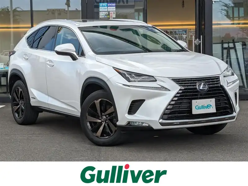 ★レクサス LEXUS NX トノカバー 10系★ トノカバー ベルト（レクサス NXハイブリッド・AYZ10系）by 501S