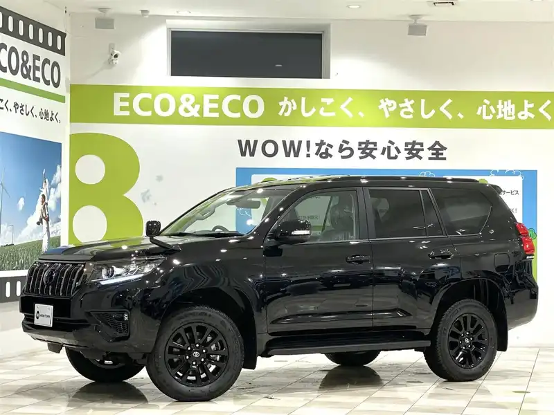 10130763 | カタログ画像：ランドクルーザープラド（LAND CRUISER PRADO） ＴＸ Ｌパッケージ・ブラックエディション 2020年8月 3BA-TRJ150W 2700cc ブラックorアティチュードブラックマイカ フロント