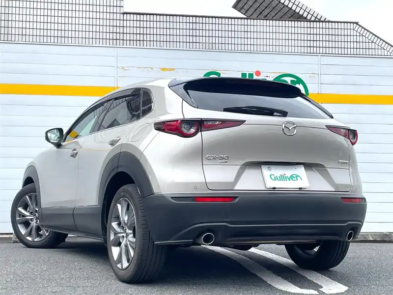 10154126 | カタログ画像：ＣＸ－３０（CX-30） ２０Ｓ Ｓパッケージ 2024年7月 5AA-DMEJ3R 2000cc プラチナクォーツメタリック バック