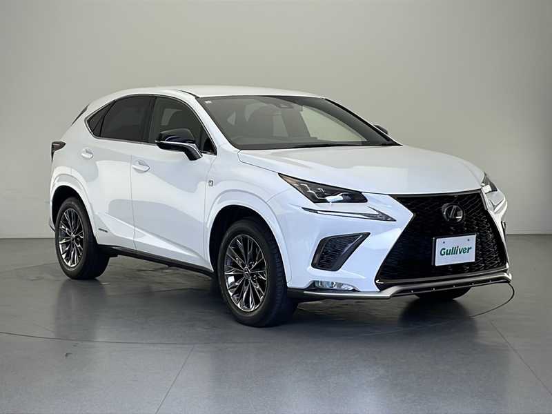 その他 precioushouse1101 savingPNG3_26.jpg?v=1656442766