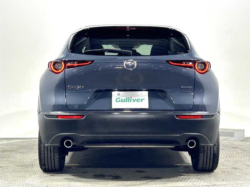 カタログ画像：ＣＸ－３０（CX-30） ＸＤ レトロスポーツエディション 2024年7月 3DA-DM8R 1800cc ポリメタルグレーメタリック 燃費18.7km / l バック