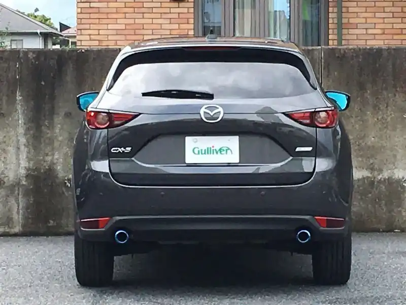 10133821 | カタログ画像：ＣＸ－５（CX-5） ２０Ｓ プロアクティブ 2020年12月 6BA-KFEP 2000cc ポリメタルグレーメタリック バック