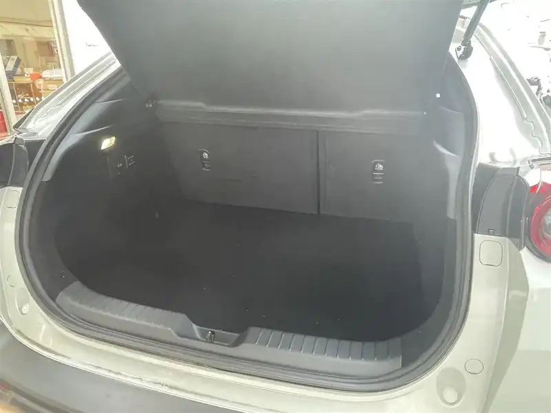 カタログ画像：ＭＸ－３０ロータリーＥＶ（MX-30 ROTARY-EV） レトロスポーツエディション 2024年12月 3LA-DR8V3R 830cc 燃費15.4km / l 内装