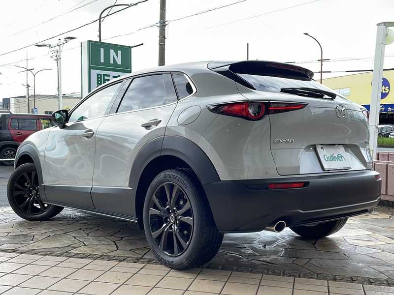 カタログ画像：ＣＸ－３０（CX-30） ２０Ｓ プロアクティブ ツーリングセレクション 2023年10月 5AA-DMEJ3R 2000cc スノーフレイクホワイトパールマイカ 燃費15.5km / l バック