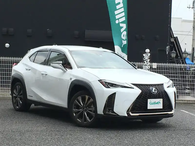 緑林シリーズ レクサスLEXUS UX 250h Fスポーツ用フロアマット 未使用