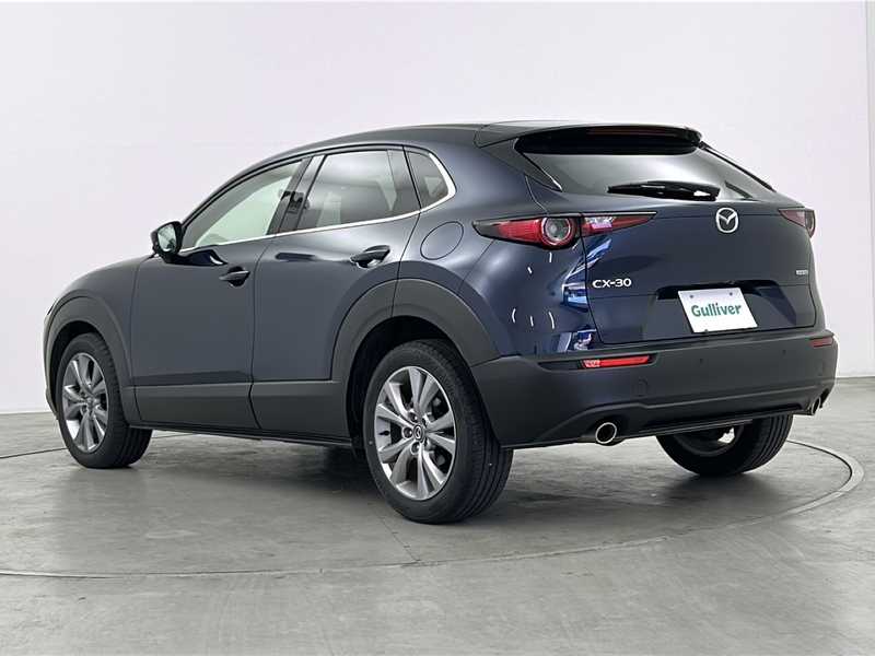 カタログ画像：ＣＸ－３０（CX-30） ２０Ｓ レトロスポーツエディション 2024年7月 5AA-DMEJ3R 2000cc ディープクリスタルブルーマイカ 燃費16.2km / l バック