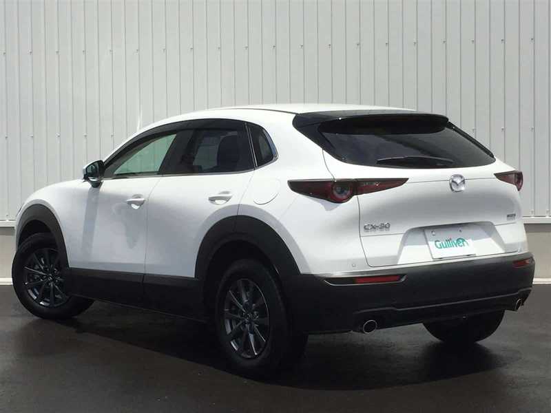 カタログ画像：ＣＸ－３０（CX-30） ２０Ｓ レトロスポーツエディション 2024年7月 5AA-DMEJ3R 2000cc スノーフレイクホワイトパールマイカ 燃費15.5km / l バック
