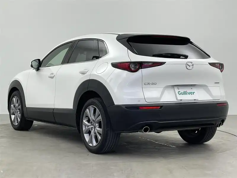 カタログ画像：ＣＸ－３０（CX-30） ２０Ｓ レトロスポーツエディション 2024年7月 5AA-DMEJ3R 2000cc スノーフレイクホワイトパールマイカ 燃費16.2km / l バック