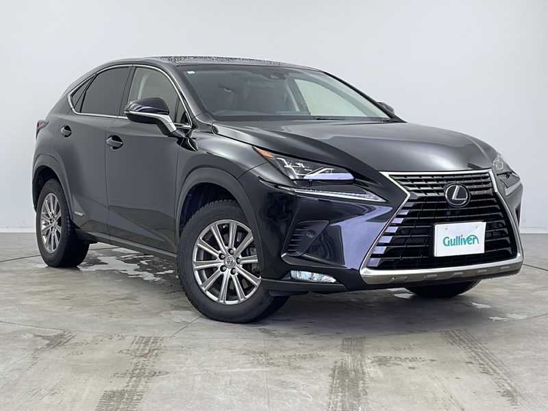 レクサス 新型NX 20系 Fスポーツ純正フロアマット （レクサスNX