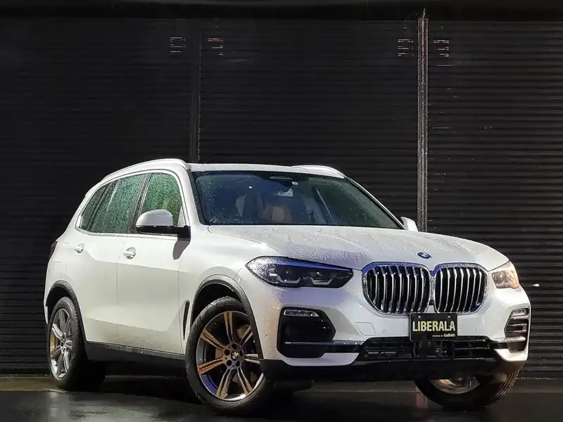 カタログ画像：Ｘ５（X5） ｘＤｒｉｖｅ ３５ｄ 2020年3月 3DA-CV30S 3000cc 燃費11.7km / l メイン