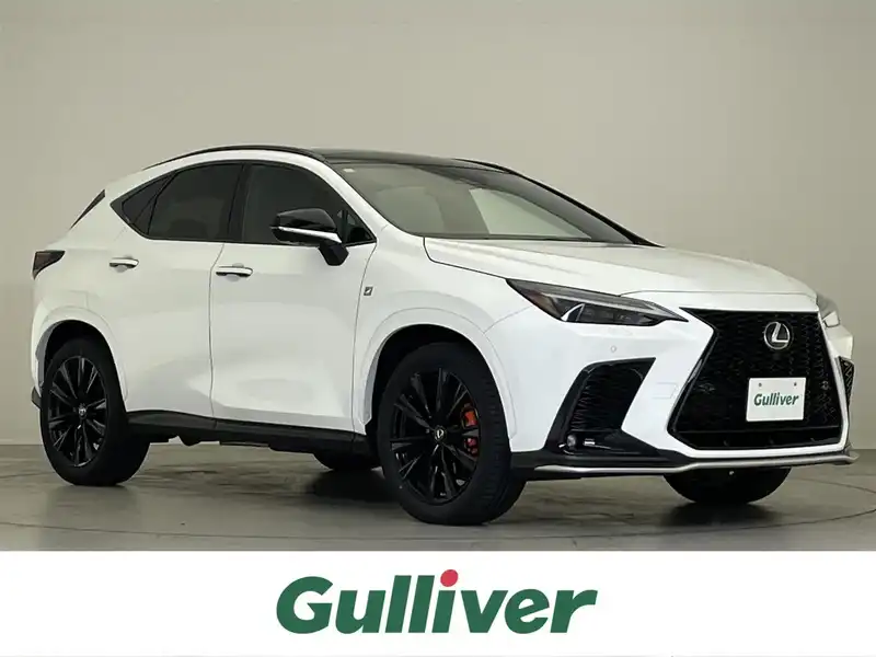 トッシーNX F SPORT専用　フロントロアバンパーモール　純正品 NX F SPORT専用 フロントロアバンパーモール 新車取り外し品