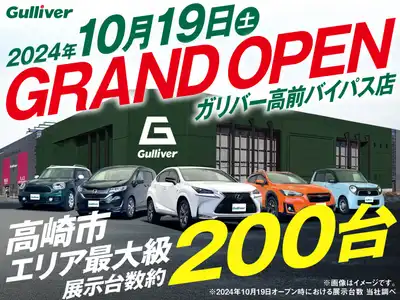 群馬県高崎市緑町1丁目1-19 ガリバー高前バイパス店